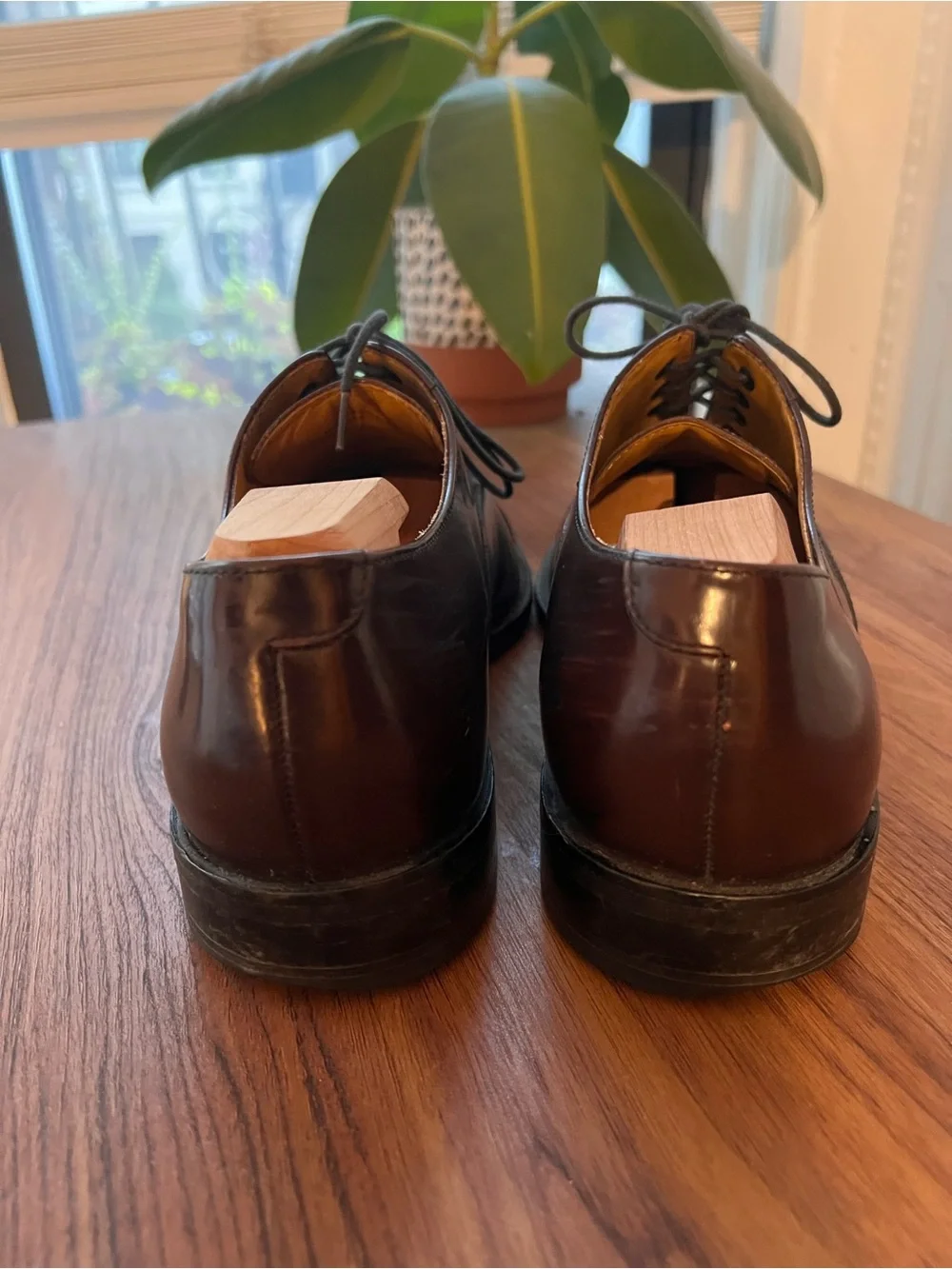 Cole Haan elegant brown